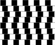 Les lignes horizontales sont-elles parallèles ?      Oui !